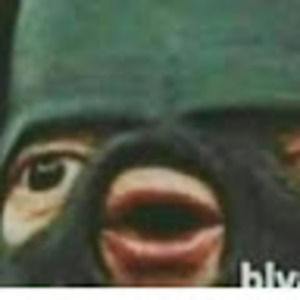 Meet your Posher, Landen